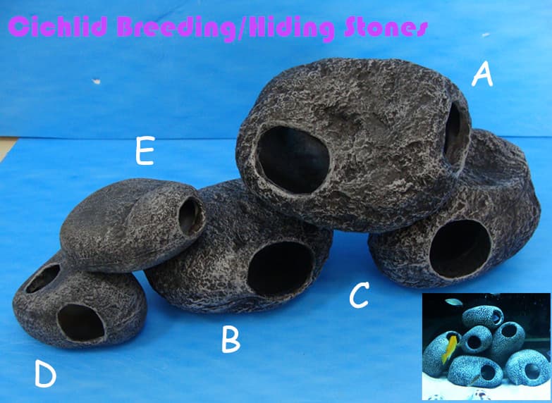 Cichlid breeding_ hiding rock_ Cichlid spawning cave